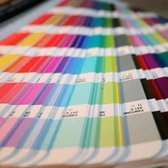 paleta de colores pantone