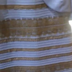 Vestido visto de distintos colores según la persona